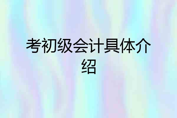 考初级会计具体介绍