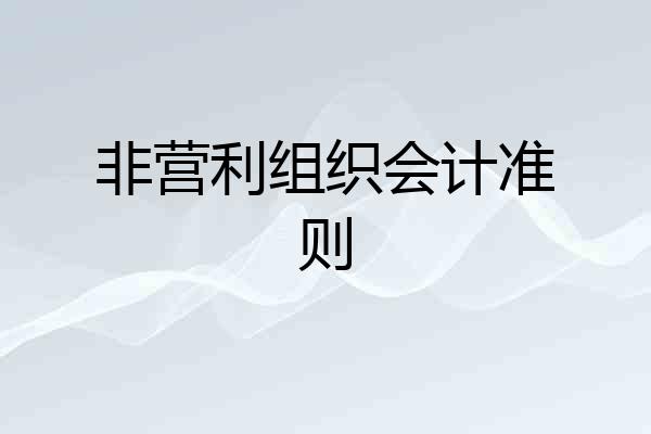 非营利组织会计准则
