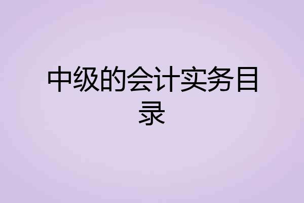 中级的会计实务目录