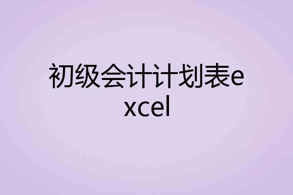 初级会计计划表excel