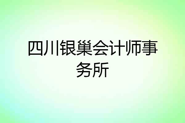 四川银巢会计师事务所