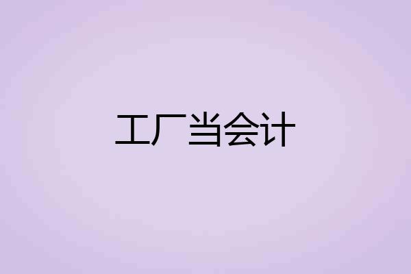 工厂当会计