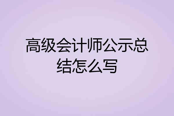 高级会计师公示总结怎么写
