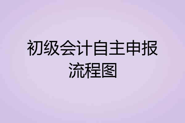 初级会计自主申报流程图