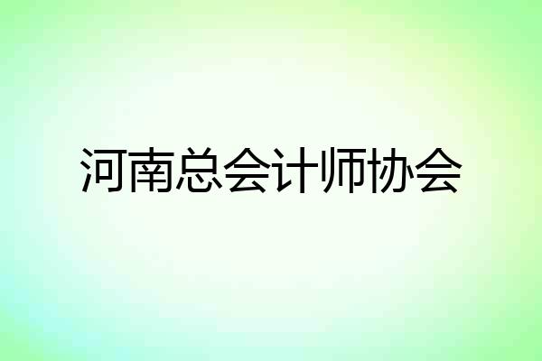 河南总会计师协会