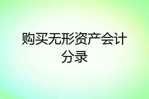 购买无形资产会计分录