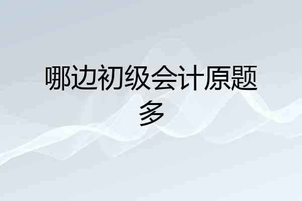 哪边初级会计原题多
