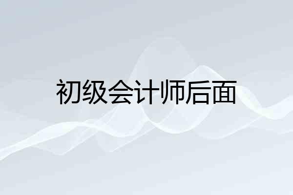 初级会计师后面