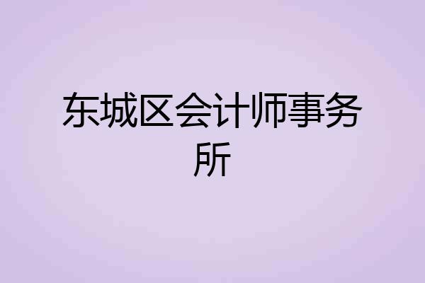 东城区会计师事务所