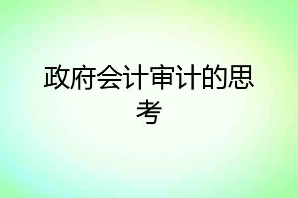 政府会计审计的思考