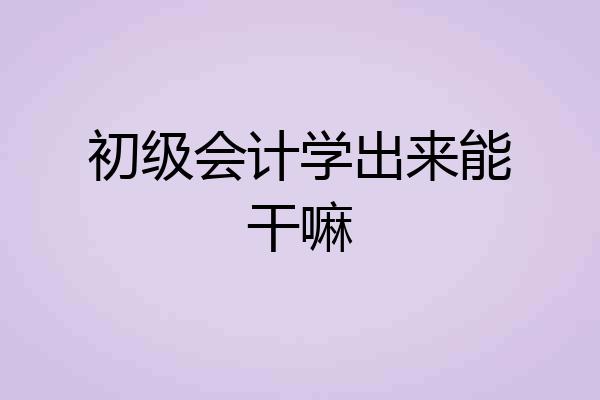 初级会计学出来能干嘛