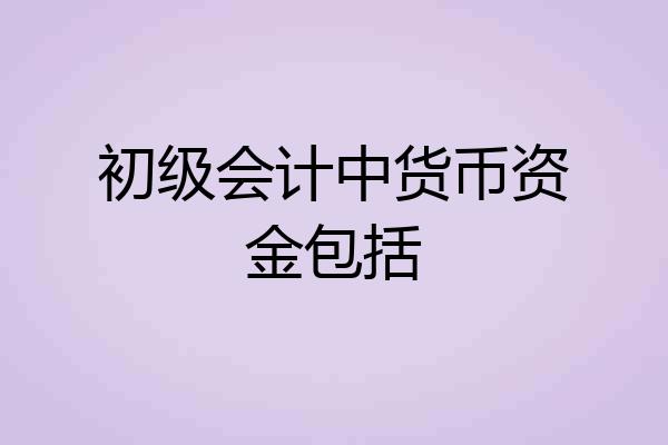 初级会计中货币资金包括