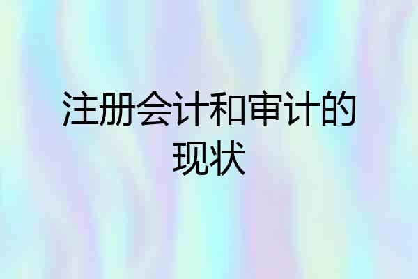 注册会计和审计的现状