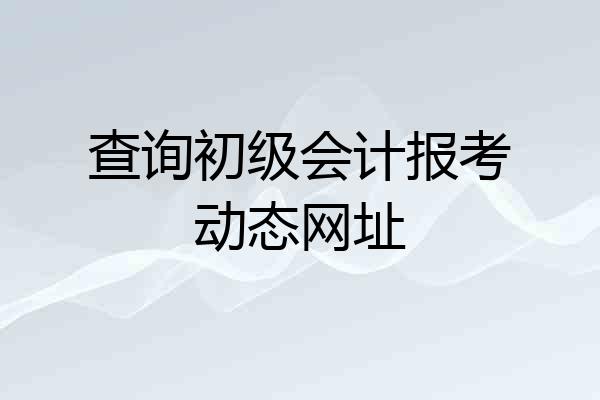 查询初级会计报考动态网址