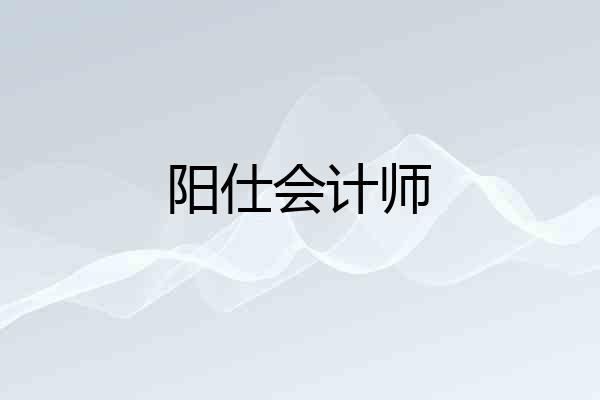 阳仕会计师