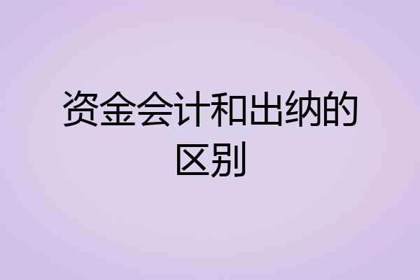 资金会计和出纳的区别