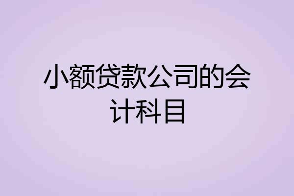 小额贷款公司的会计科目