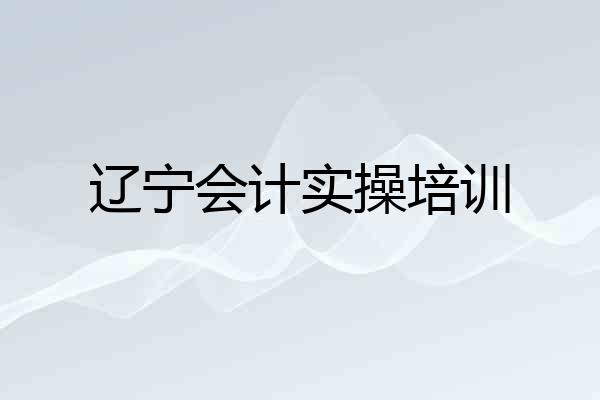 辽宁会计实操培训