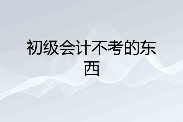 初级会计不考的东西