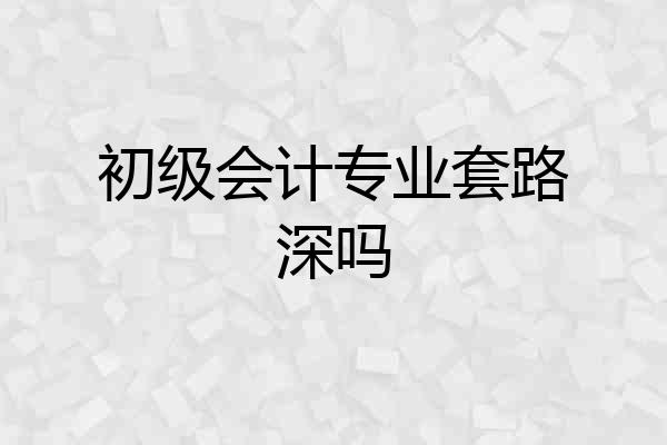 初级会计专业套路深吗