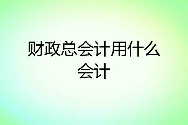 财政总会计用什么会计