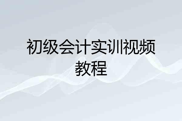 初级会计实训视频教程