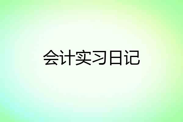 会计实习日记