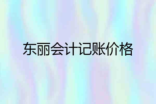 东丽会计记账价格