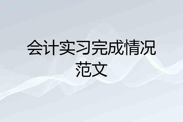 会计实习完成情况范文