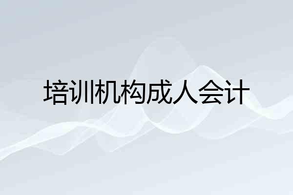 培训机构成人会计