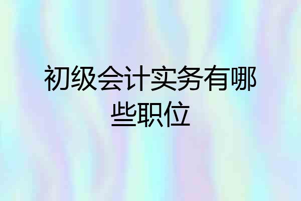 初级会计实务有哪些职位
