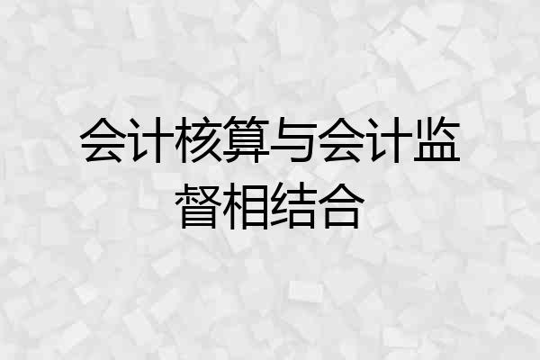 会计核算与会计监督相结合