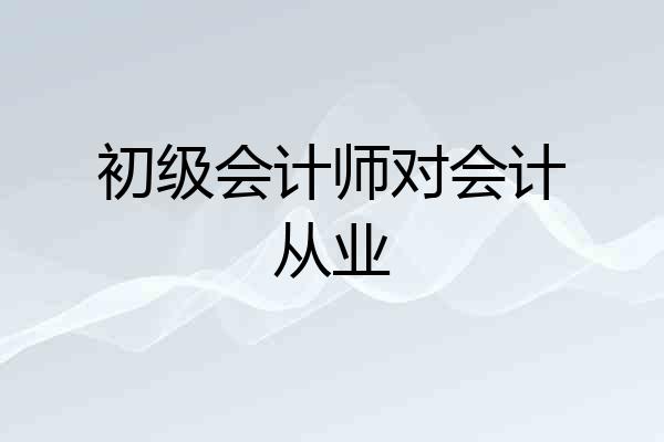 初级会计师对会计从业