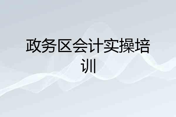 政务区会计实操培训