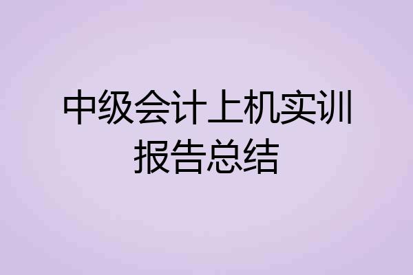 中级会计上机实训报告总结
