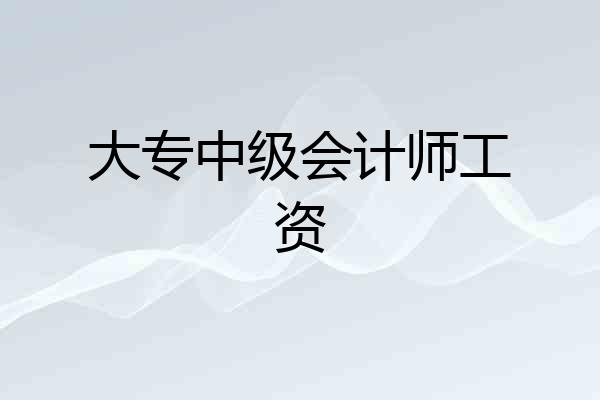 大专中级会计师工资