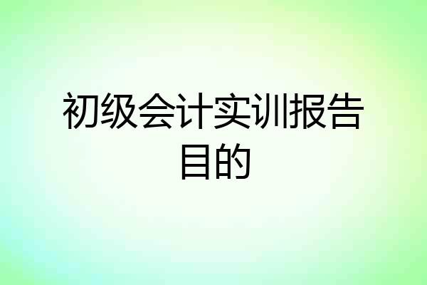 初级会计实训报告目的