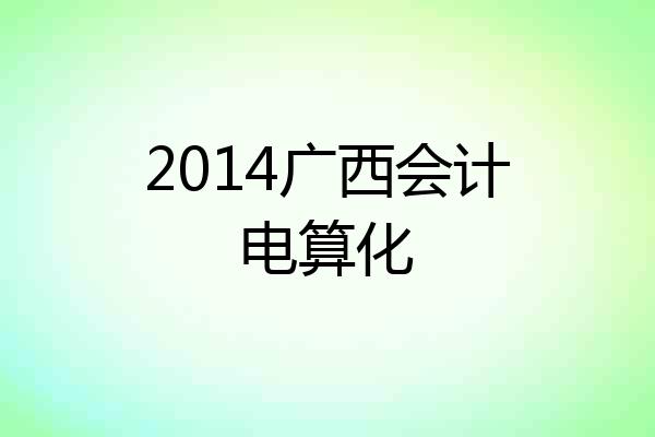2014广西会计电算化