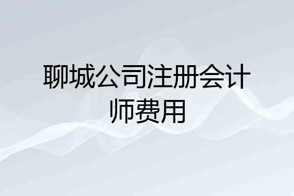 聊城公司注册会计师费用