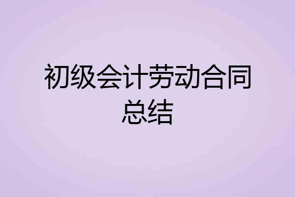 初级会计劳动合同总结