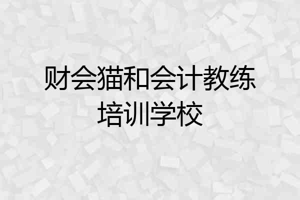 财会猫和会计教练培训学校