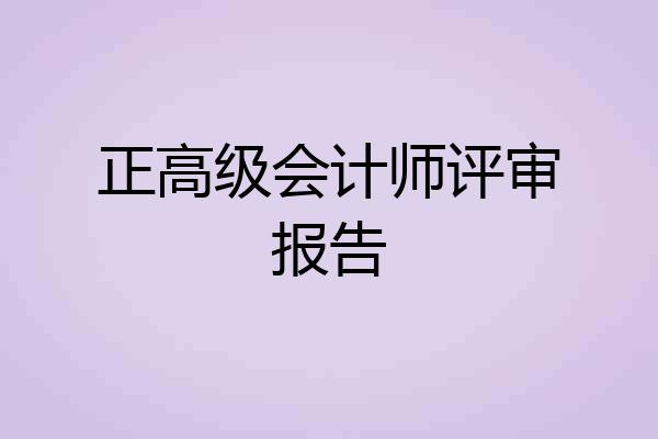 正高级会计师评审报告
