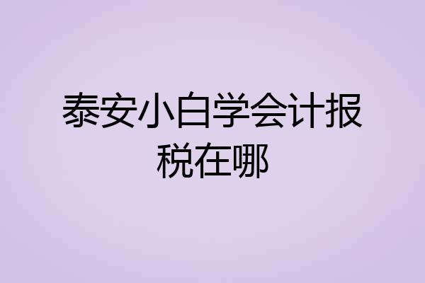 泰安小白学会计报税在哪