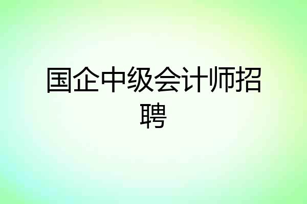 国企中级会计师招聘