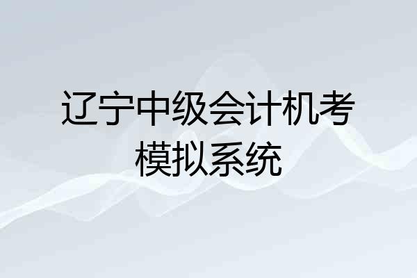 辽宁中级会计机考模拟系统