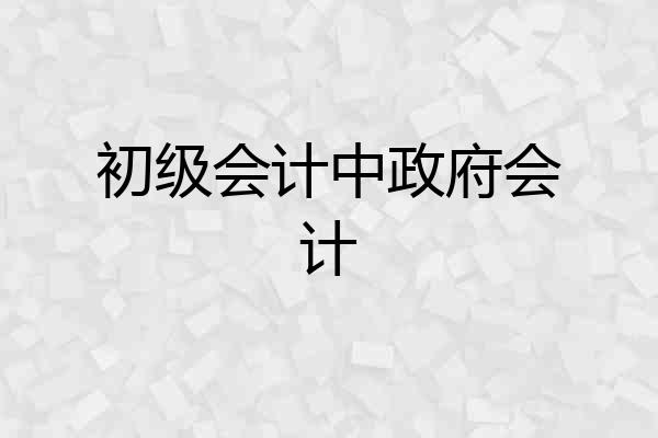 初级会计中政府会计