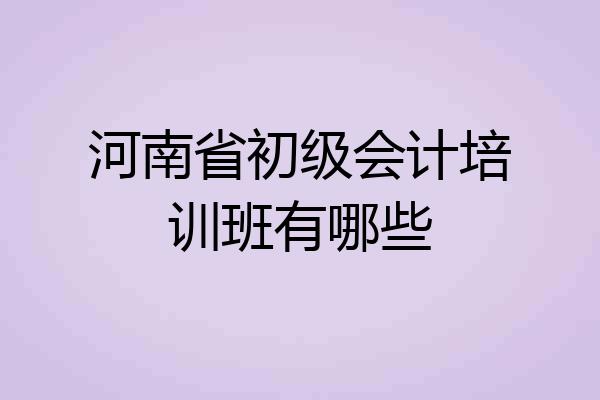 河南省初级会计培训班有哪些