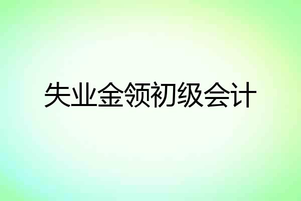 失业金领初级会计