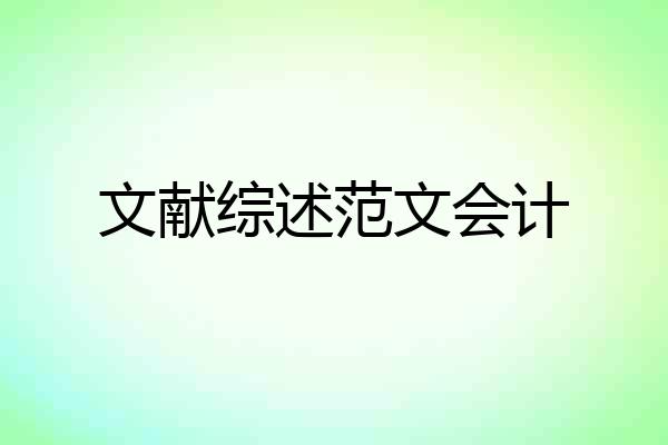 文献综述范文会计