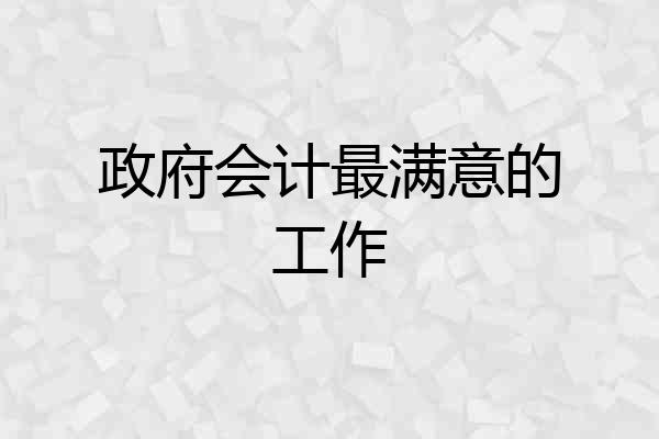 政府会计最满意的工作
